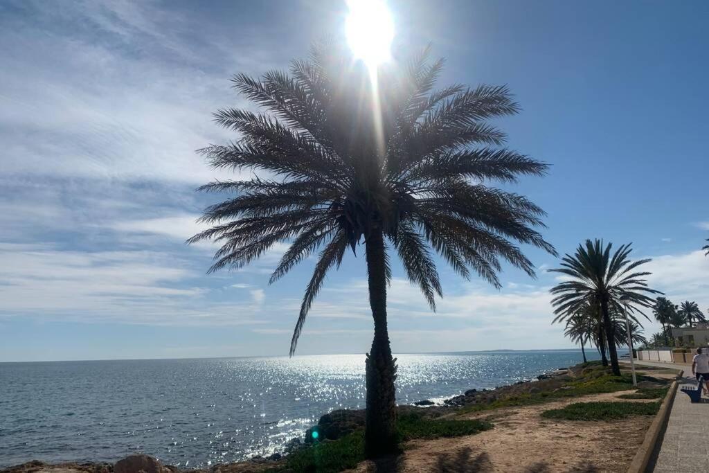 סנטה פולה Alicante, Bord De Plage, 3 Chambres מראה חיצוני תמונה